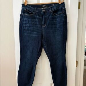 Judy Blue Deep Indigo Skinny Jeans